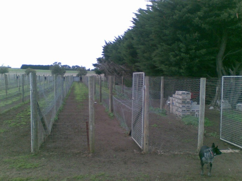 79 Injemira Road, Grassmere VIC 3281