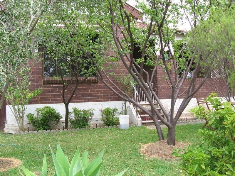 102 Graham Street, Berala NSW 2141