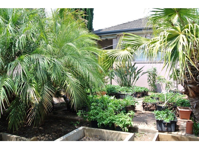 135 Woodville  Road, Chester Hill NSW 2162