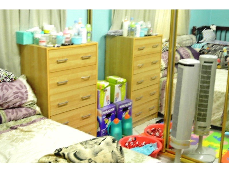 66 Amy  Street, Regents Park NSW 2143