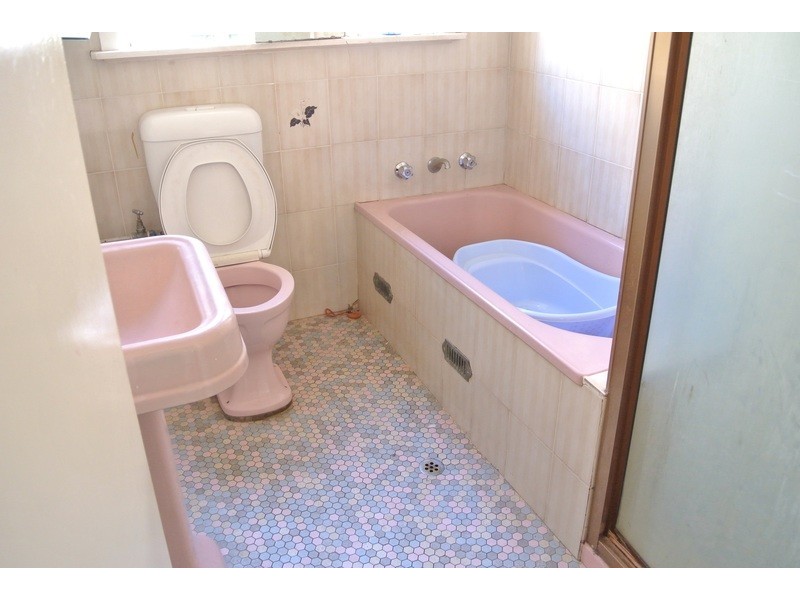 4 Lenore Place, Lidcombe NSW 2141