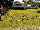 45 Charles Street, Iluka NSW 2466