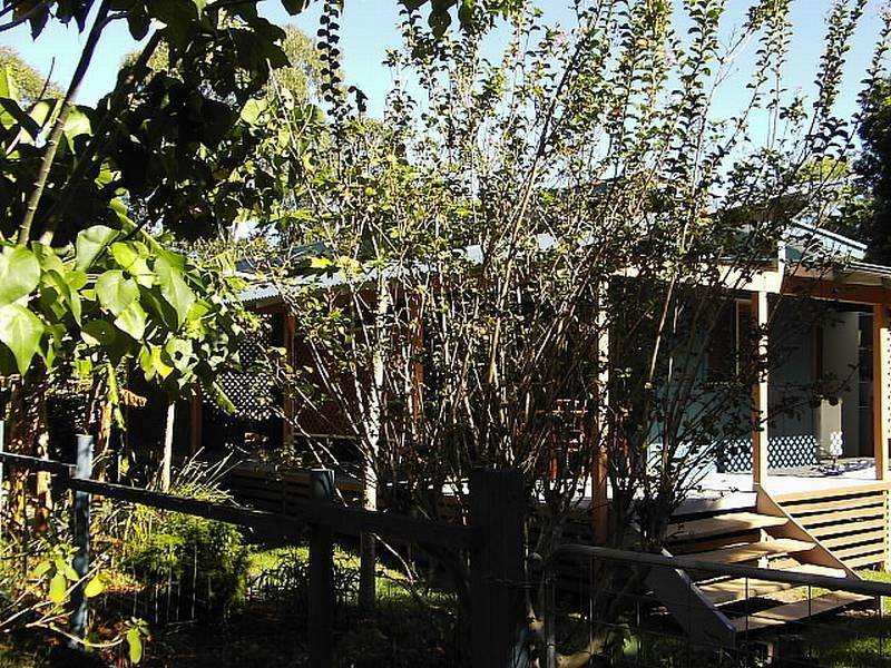 42 Long Street, Iluka NSW 2466