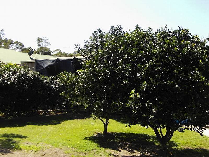 17 Compton Street, Iluka NSW 2466