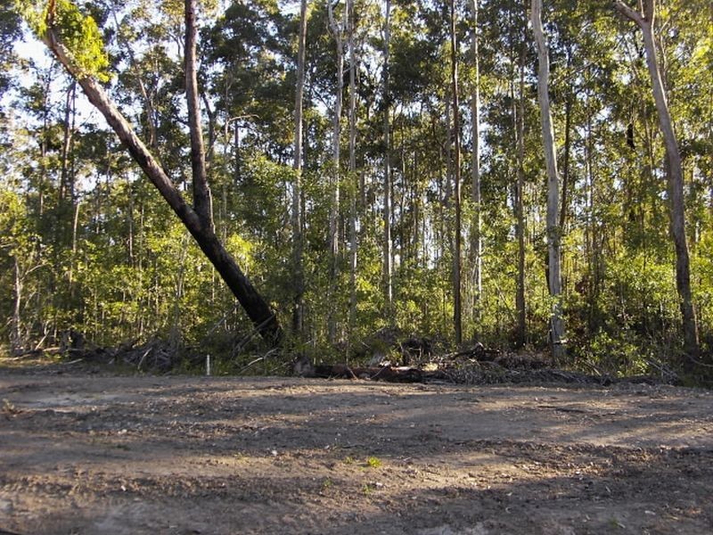 Lot 31 Gecko Court, Woombah NSW 2469