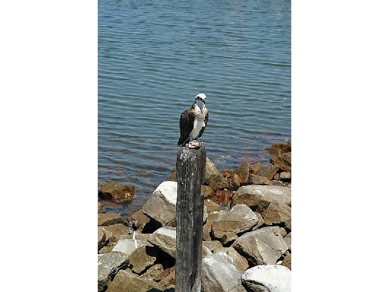 2,3,4,6,9,10/4 Spenser Street, Iluka NSW 2466