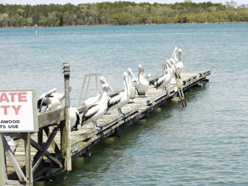 12/2 Spenser Street, Iluka NSW 2466