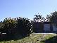 7 Conrad Close, Iluka NSW 2466