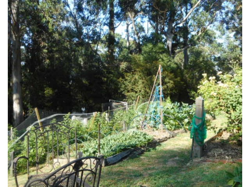 Millgrove VIC 3799