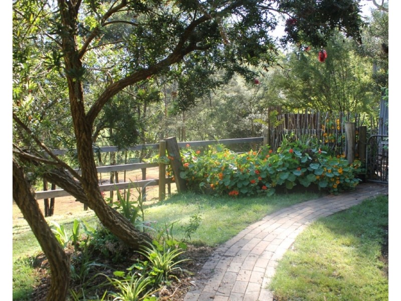 Hoddles Creek VIC 3139