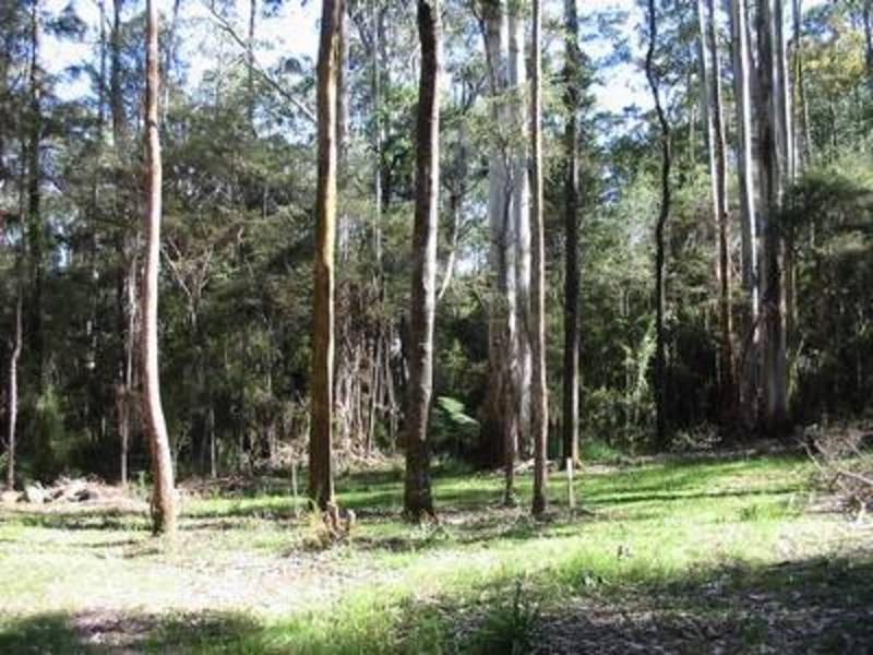 845 Woodspoint Road, East Warburton VIC 3799