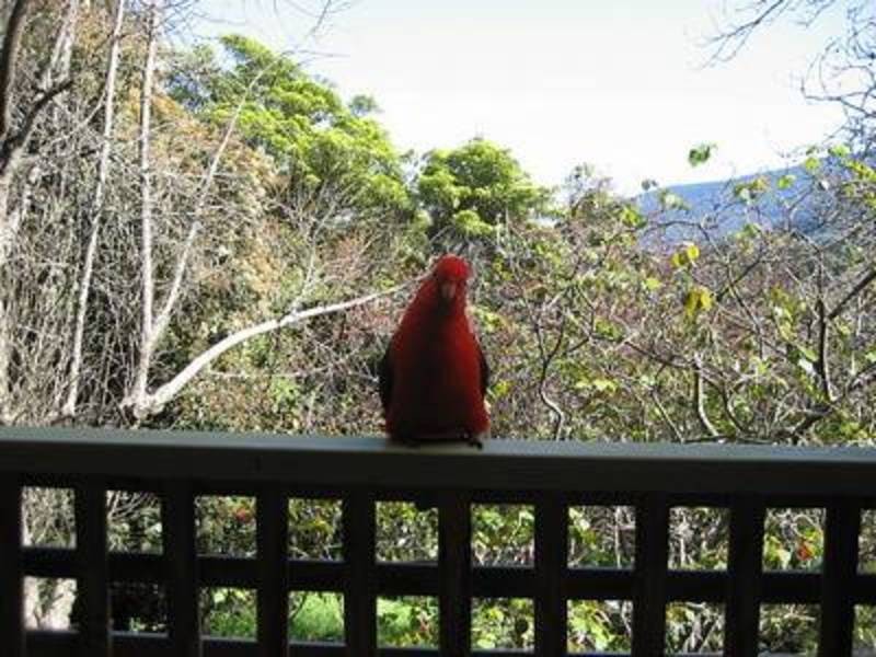 1 Glenbrook Road, Warburton VIC 3799