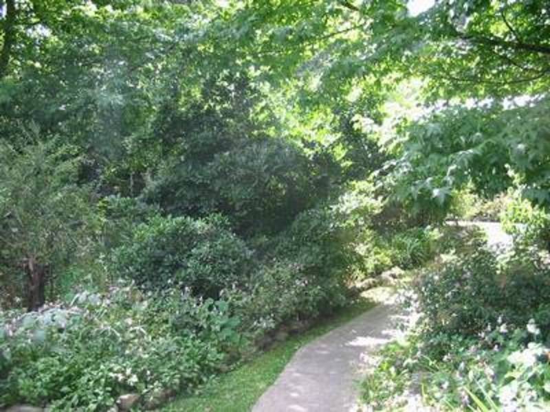 23 Dammans Road, Warburton VIC 3799