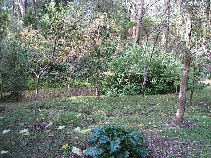 43 Inverness  Road, Mount Evelyn VIC 3796