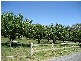 265 Tarrango Road, Yarra Junction VIC 3797