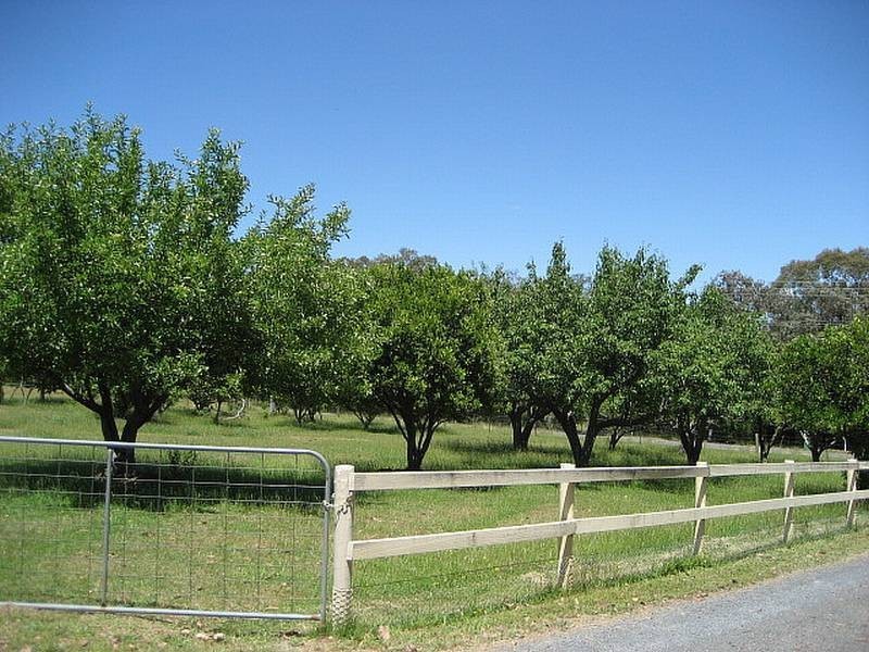 265 Tarrango Road, Yarra Junction VIC 3797