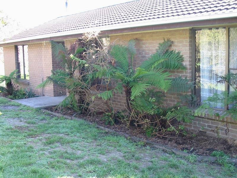 325 Beenak Road, Yellingbo VIC 3139