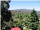 39 Woodspoint Road, Warburton VIC 3799