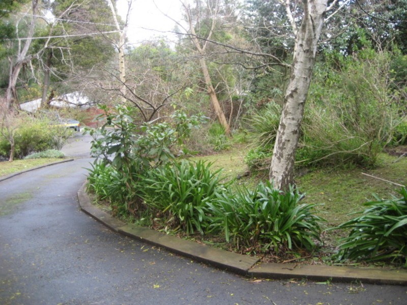 89 Wonga Road, Millgrove VIC 3799