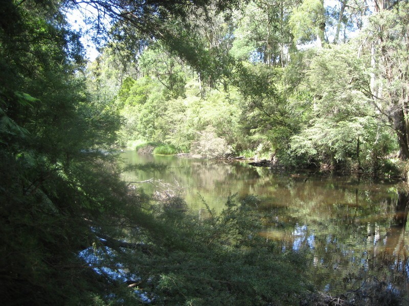 185 Woodspoint Road, Warburton VIC 3799
