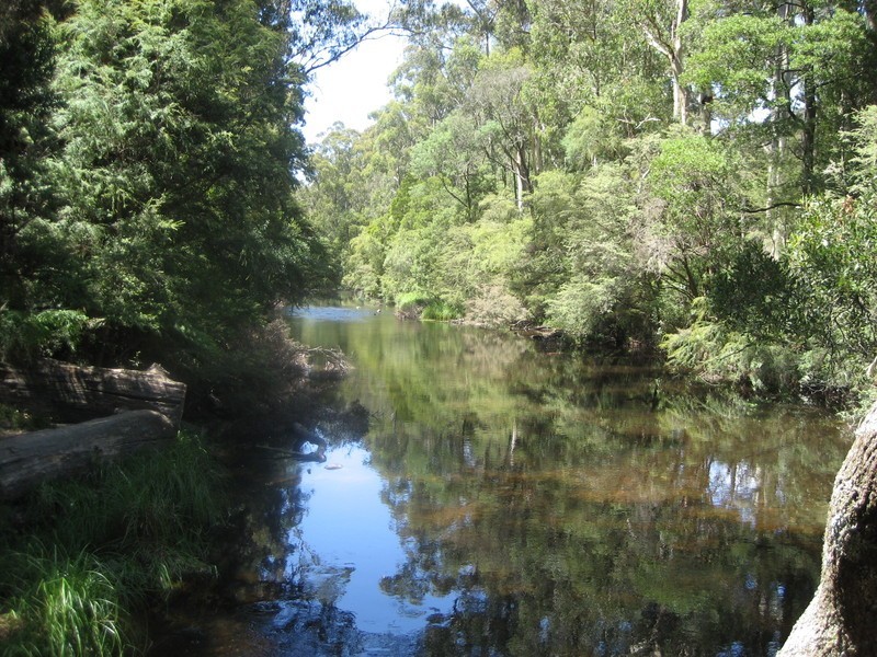 185 Woodspoint Road, Warburton VIC 3799