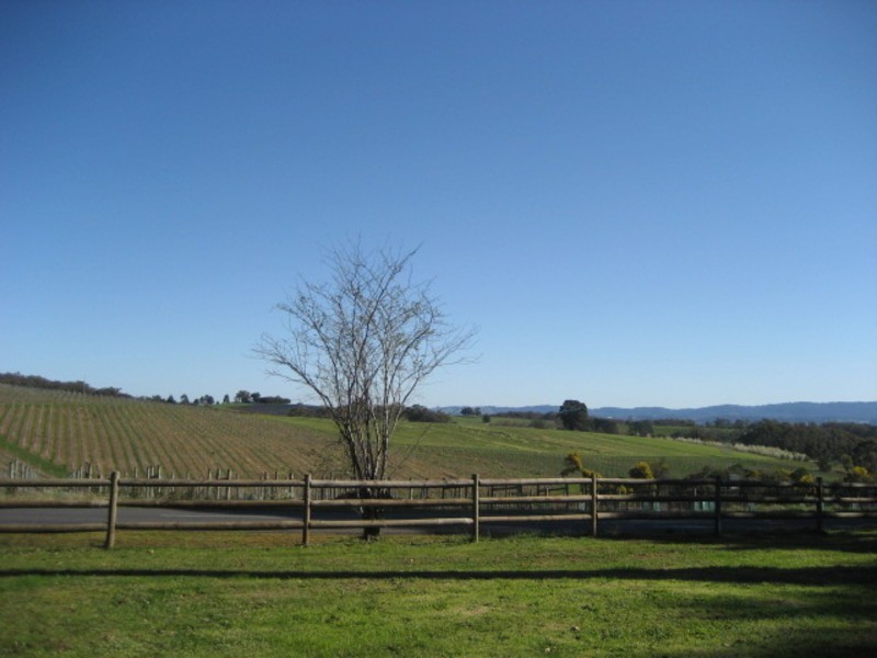 355 Lusatia Park Road, Woori Yallock VIC 3139