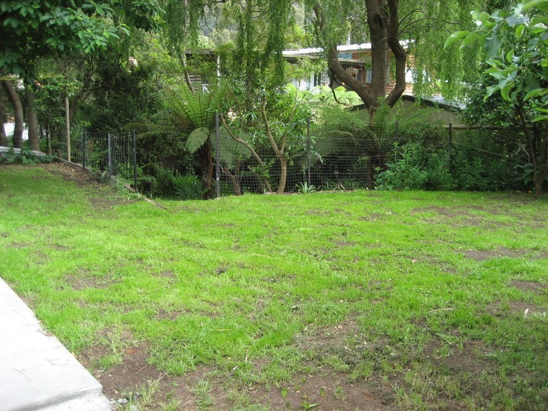 19A River Road, Millgrove VIC 3799