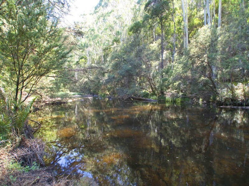 20 Callop Street, East Warburton VIC 3799