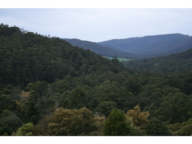7 Ferndale Road, Warburton VIC 3799