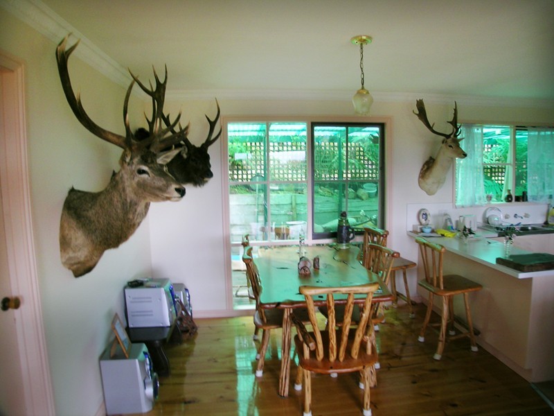 12 Douglas Parade, Yarra Junction VIC 3797