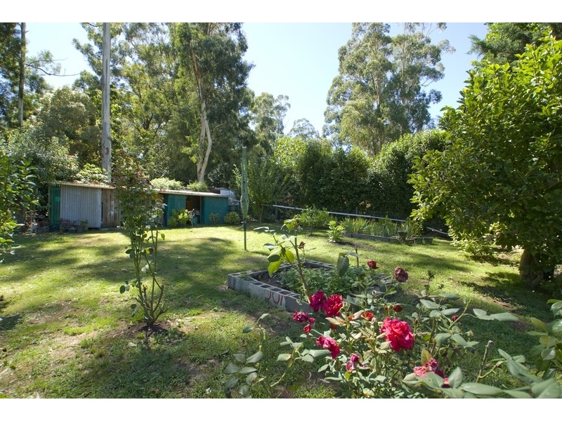 31 Tulloch Street, Millgrove VIC 3799