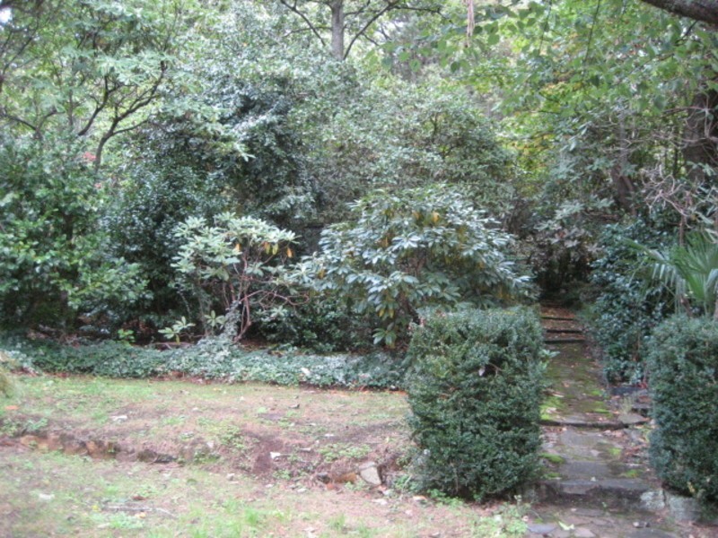 14 Wellington Road, Warburton VIC 3799