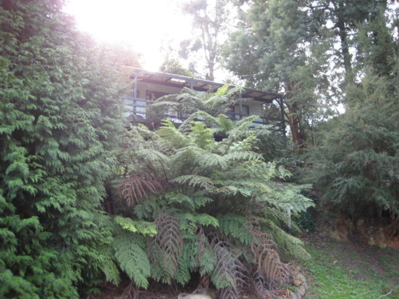 9 Pamela Court, Millgrove VIC 3799