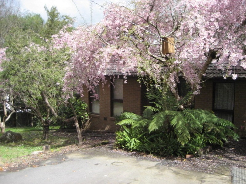 5 Lillis Court, Millgrove VIC 3799