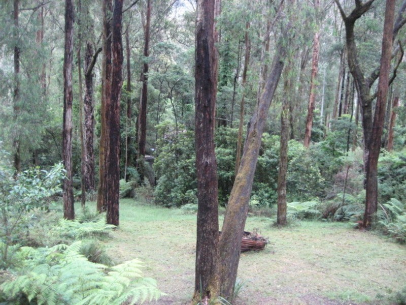 15 Fishermans Drive, Reefton VIC 3799