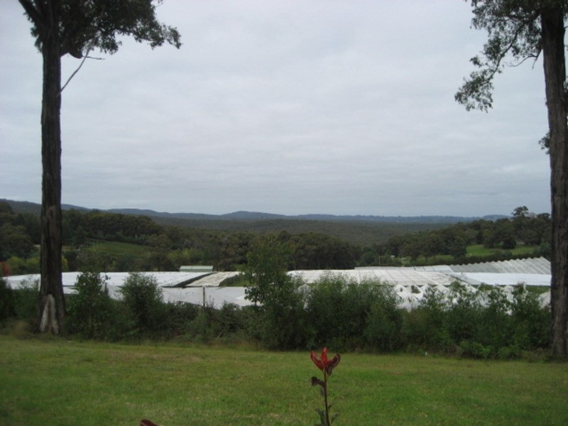 65 Willis Road, Hoddles Creek VIC 3139