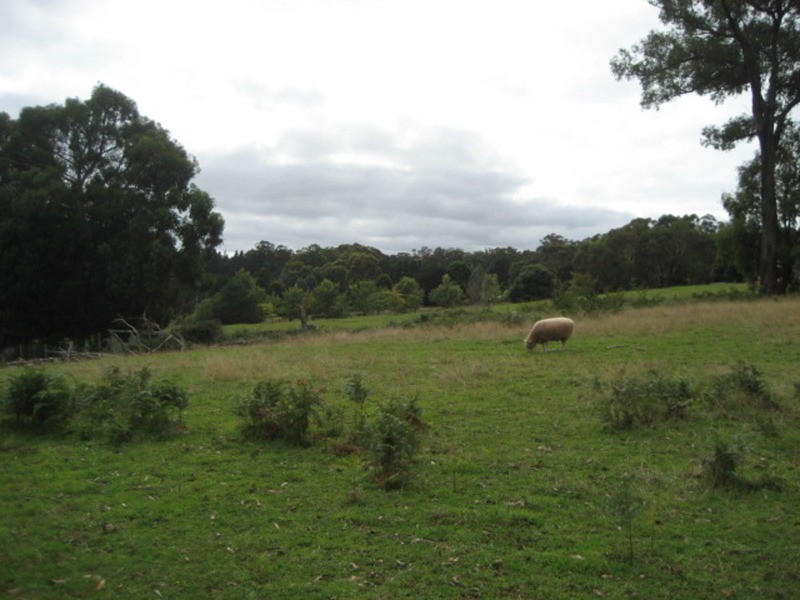 65 Willis Road, Hoddles Creek VIC 3139