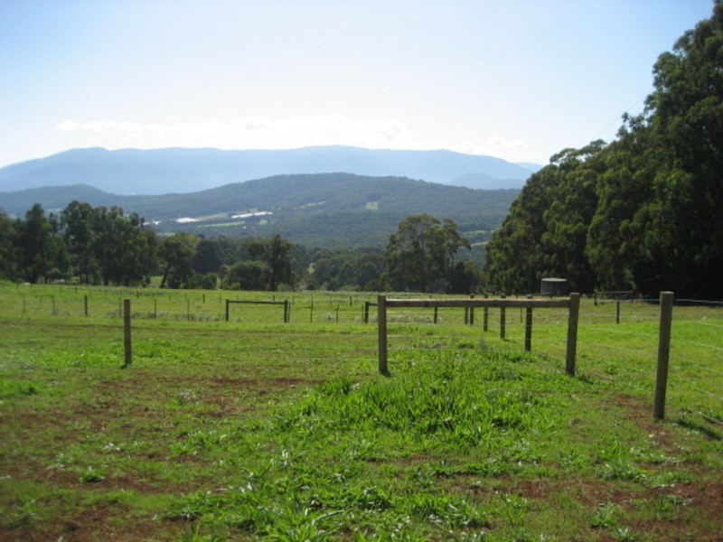 815a Gembrook Road, Hoddles Creek VIC 3139