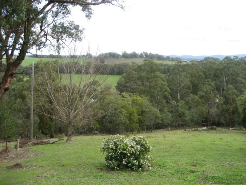 135 Beenak Road, Yellingbo VIC 3139