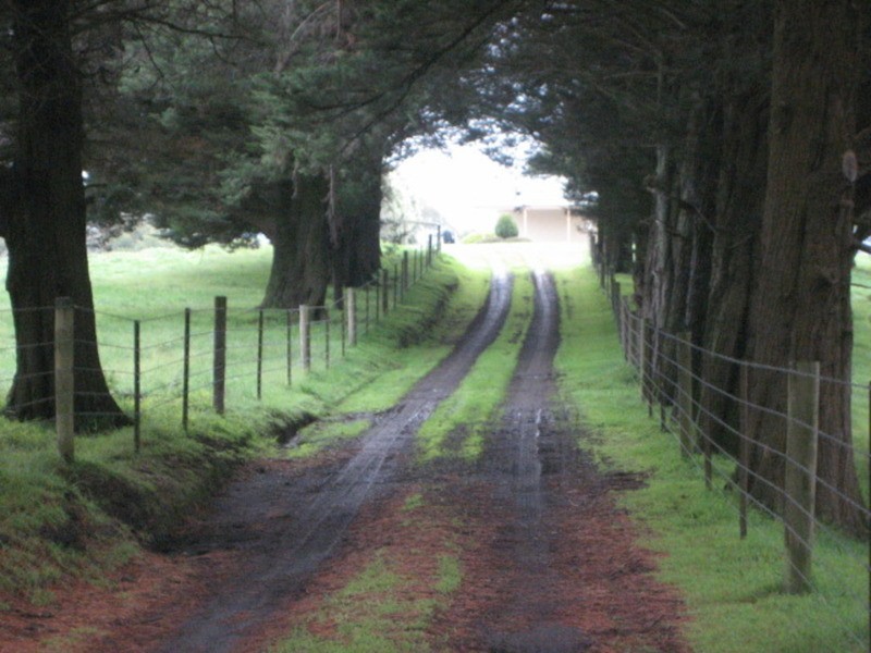 645 Gembrook Road, Hoddles Creek VIC 3139