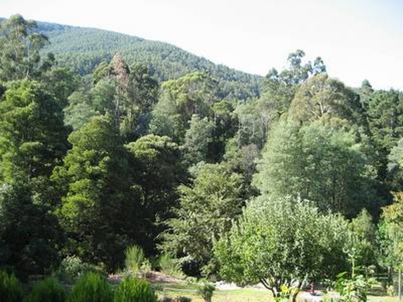 36 Donna Buang Road, Warburton VIC 3799