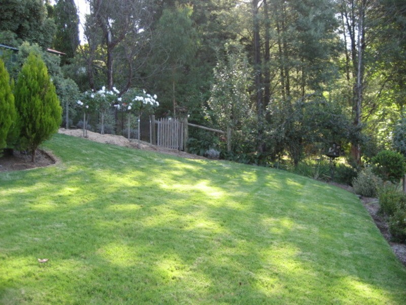 36 Donna Buang Road, Warburton VIC 3799