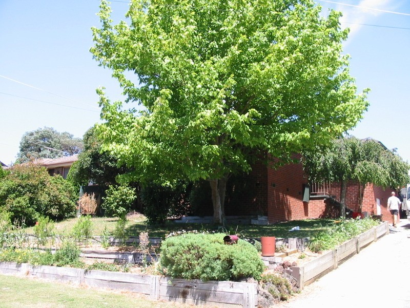 14 Shirley Crescent, Woori Yallock VIC 3139