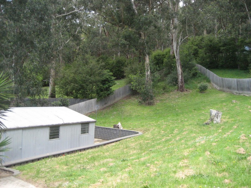 14 Bacchus Crescent, Millgrove VIC 3799