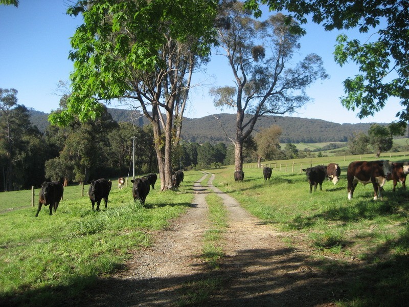 595 Parkinsons  Road, Gladysdale VIC 3797