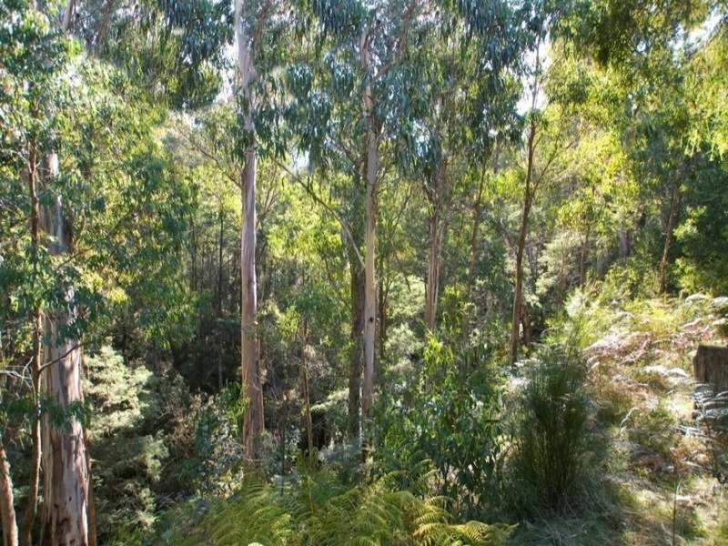 7 Fishermans Drive, Reefton VIC 3799