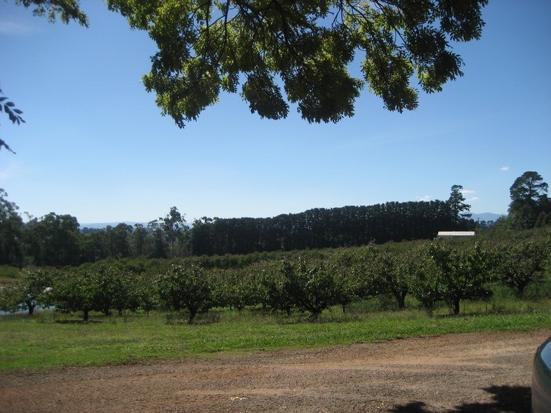 56 Monbulk Seville Road, Seville VIC 3139