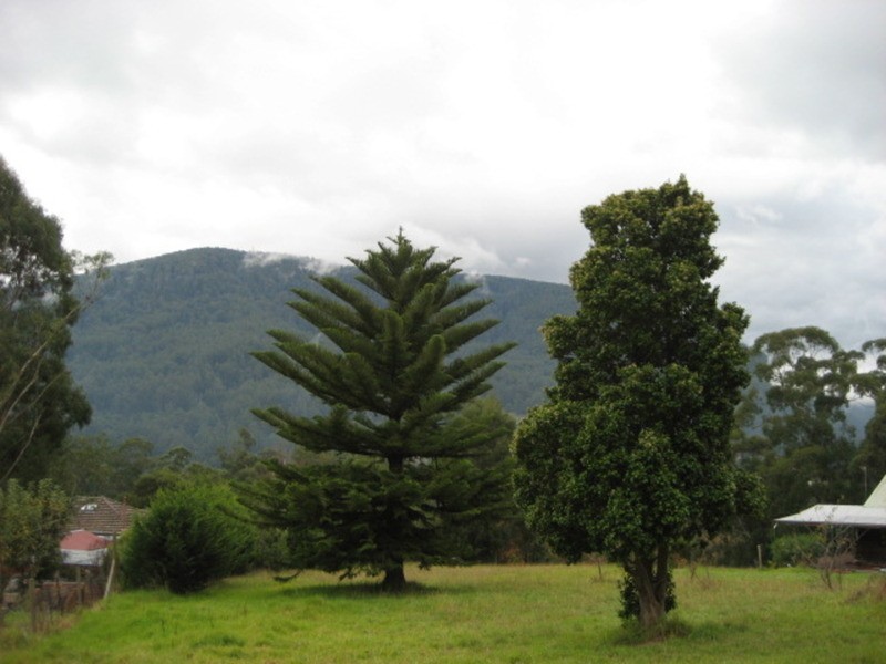 12 Old Warburton Road, Warburton VIC 3799