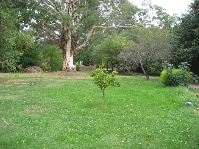 21 River Road, Millgrove VIC 3799