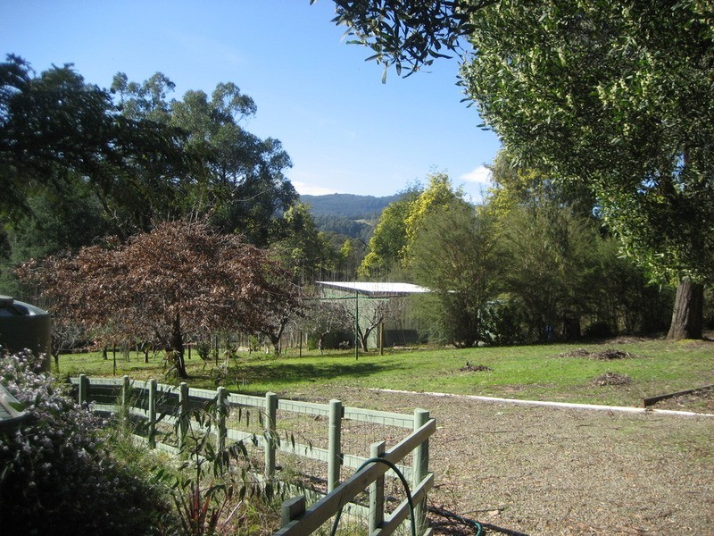 Three Bridges VIC 3797